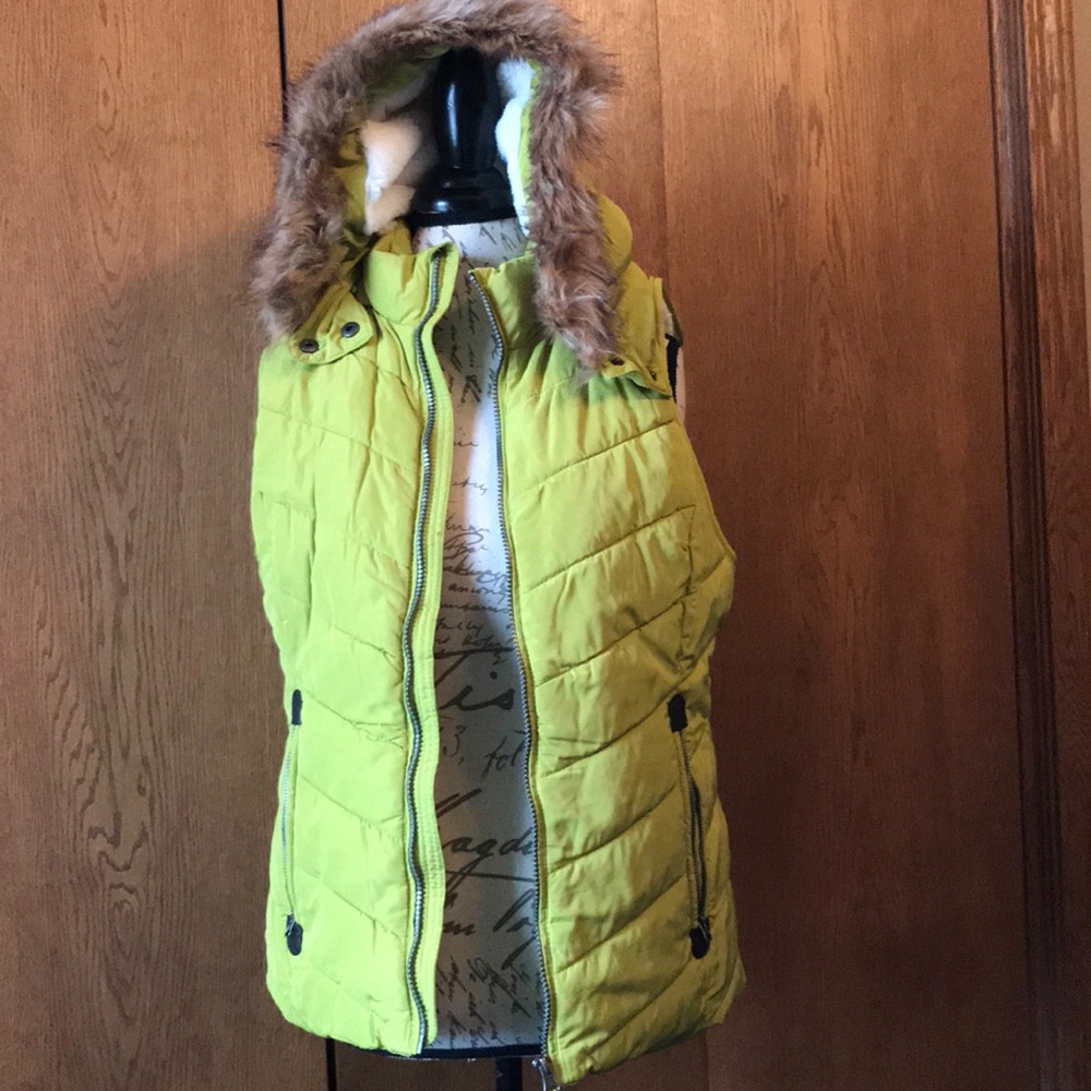 Vest